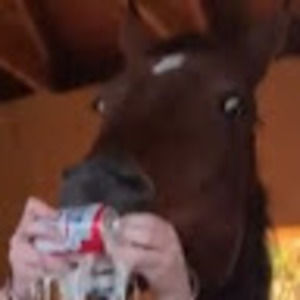 Meet your Posher, Josslyn